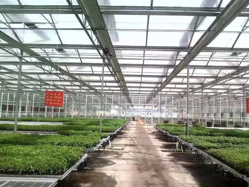 连栋玻璃温室