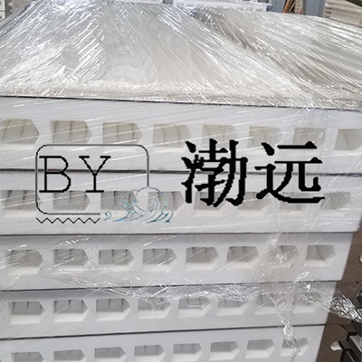 BYSL1500/9塑烧板滤芯（烧结板）